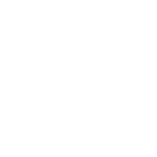 A key icon with security